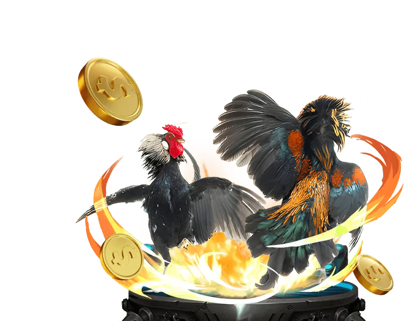 Quy định công bằng về cược và trò chơi tại 56wim04 nhà cái